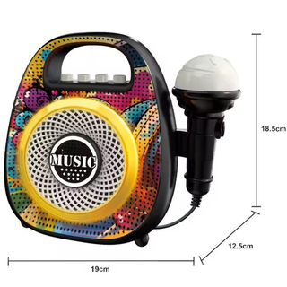 Bluetooth Karaoke Speaker with Microphone