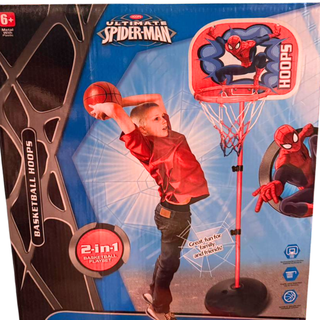 2-in-1 Basketball Hoop Set