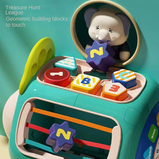Multi-Activity Brain Elephant Cube
