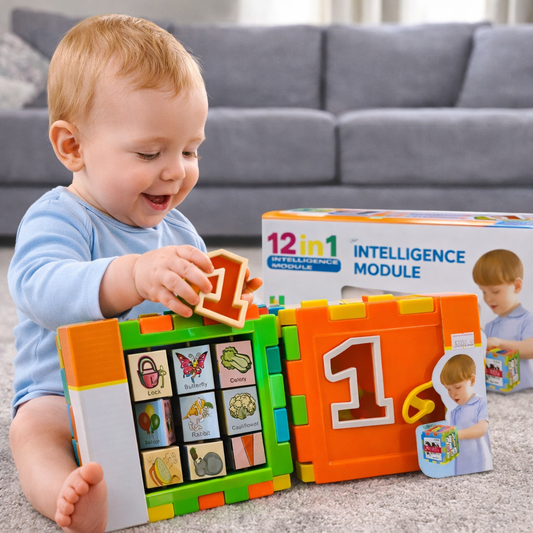 12-in-1 Intelligence Activity Cube