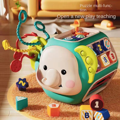Multi-Activity Brain Elephant Cube