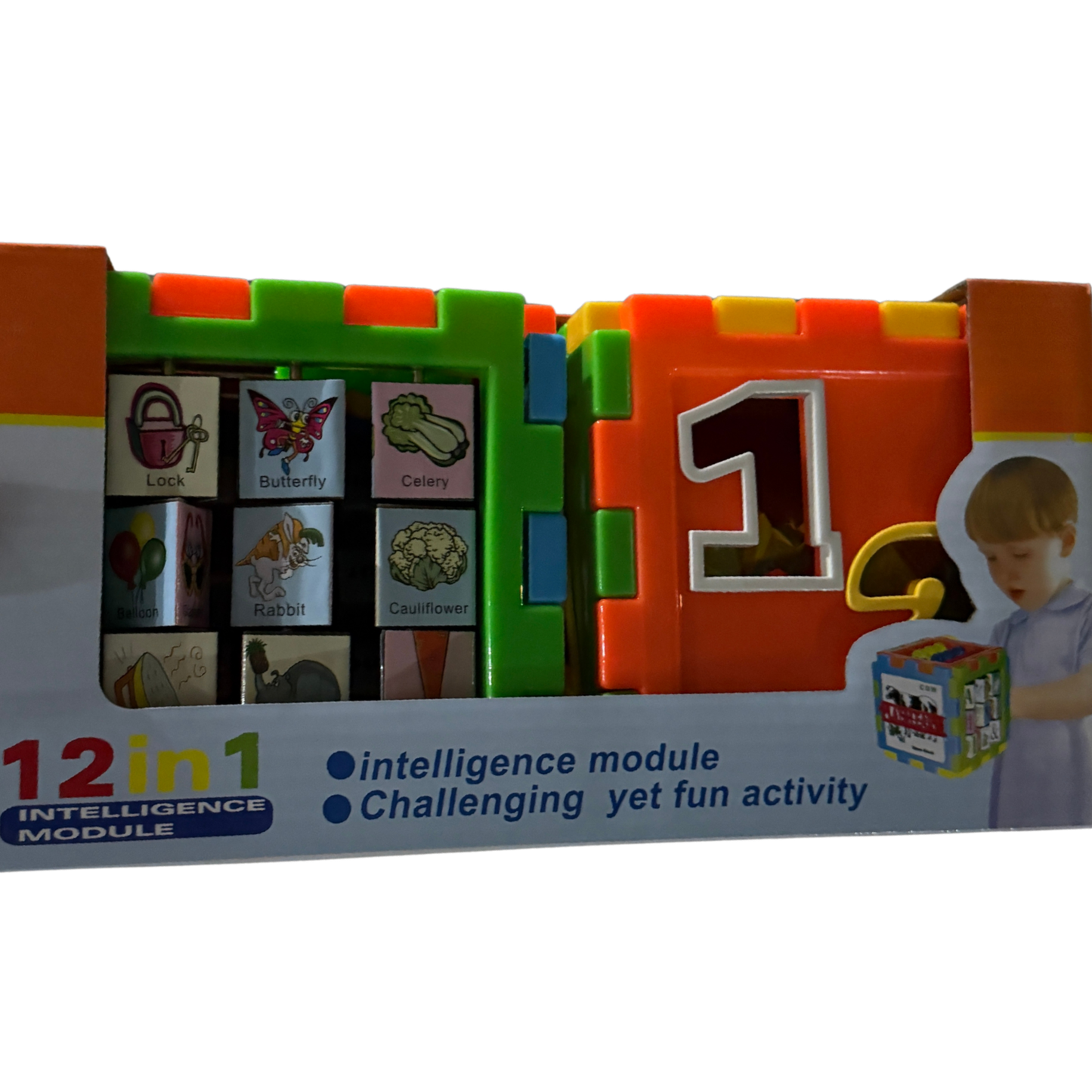 12-in-1 Intelligence Activity Cube