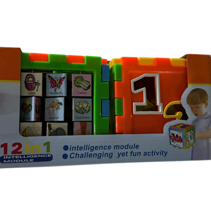 12-in-1 Intelligence Activity Cube